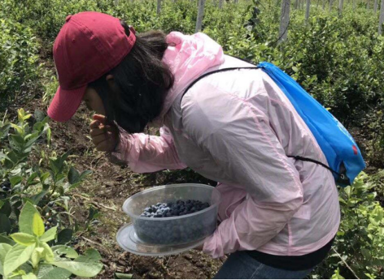 另一方面,实践队员结合自身所学《植物学《地质学》知识联系实际